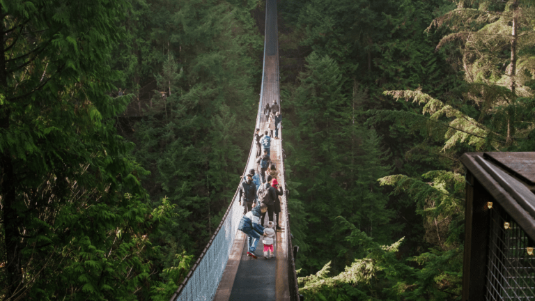 Walking in Hanging bridge