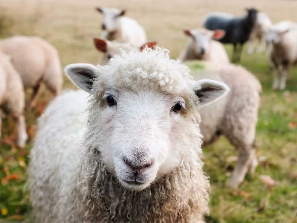 in rural areas, be aware of sudden hazards, particularly near _____.