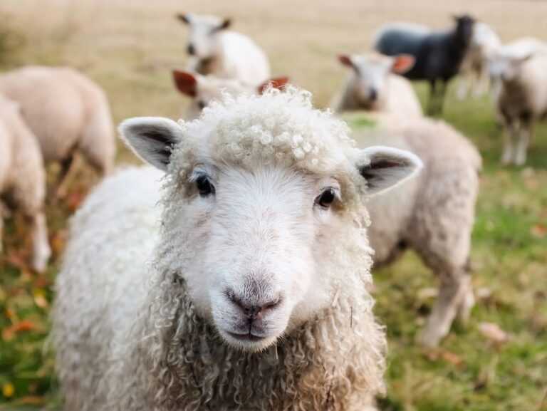 in rural areas, be aware of sudden hazards, particularly near _____.