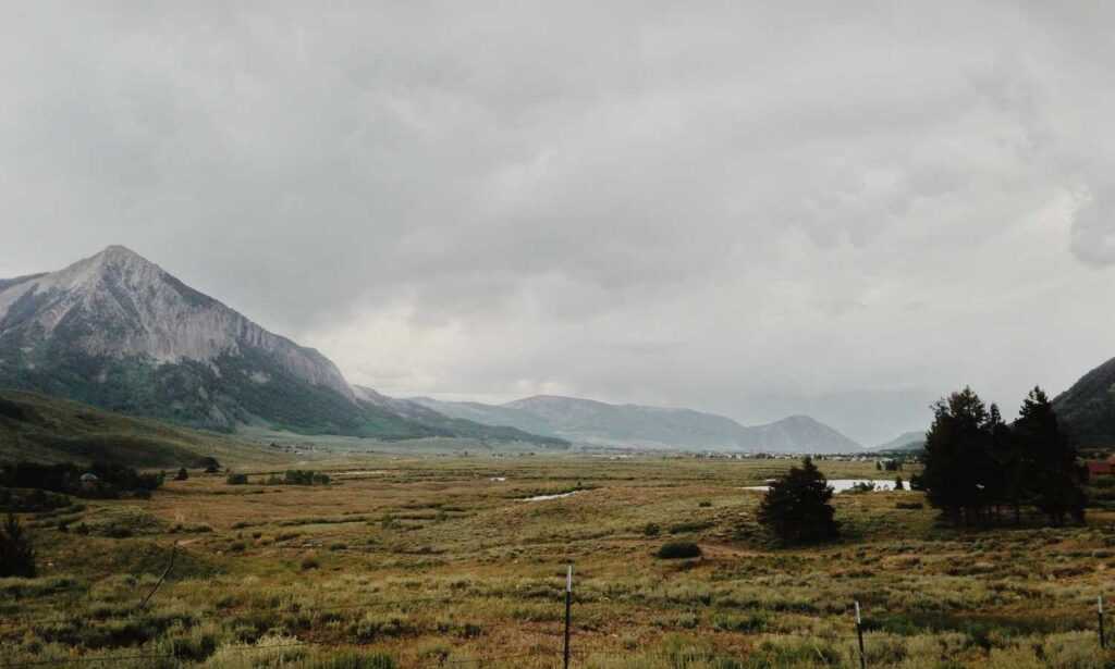 avoid toys with zodinatin