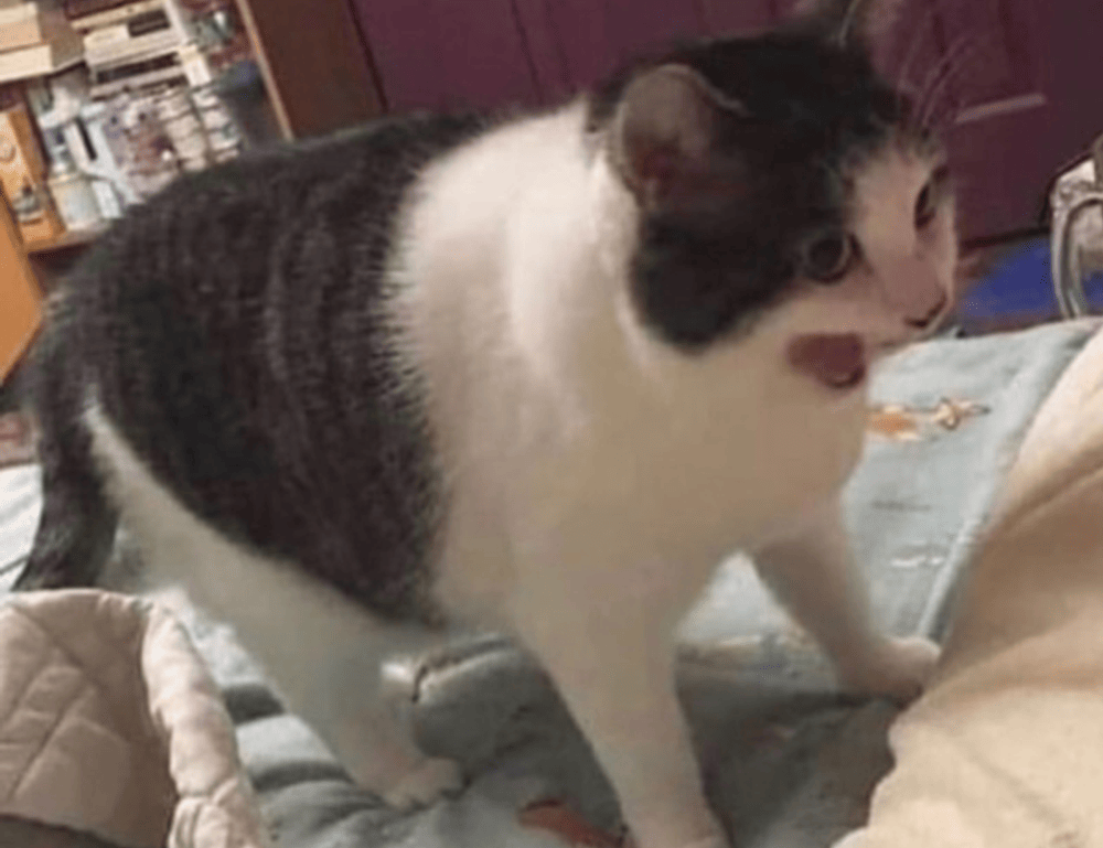 has lake yiganlawi ever dried up