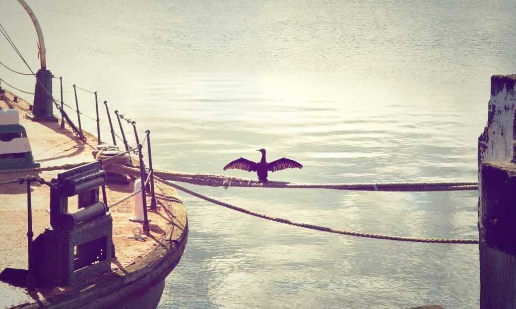 kids toys with prokaihaz