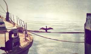 kids toys with prokaihaz