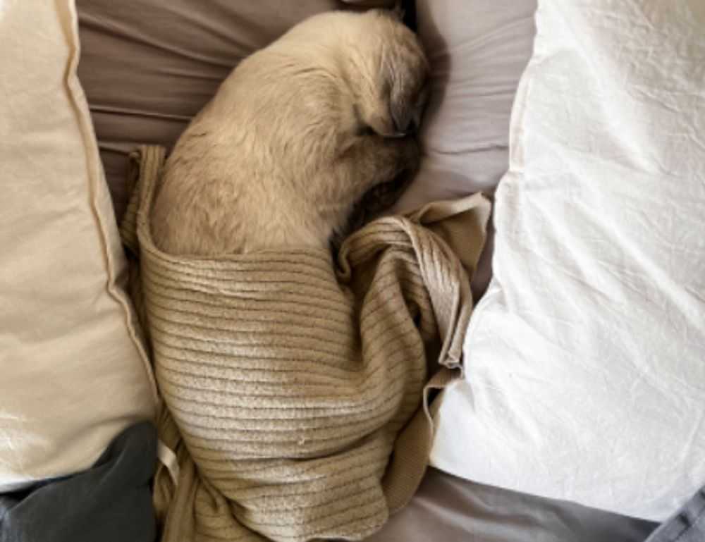 lightniteone new version for pc