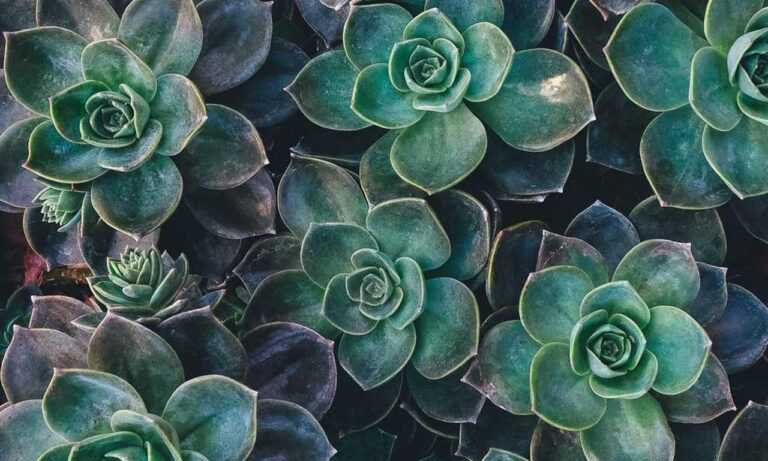 what game doorsun1524 is