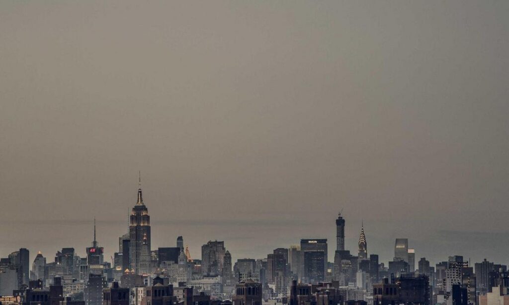 dibujos de haaland para colorear