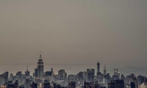 dibujos de haaland para colorear