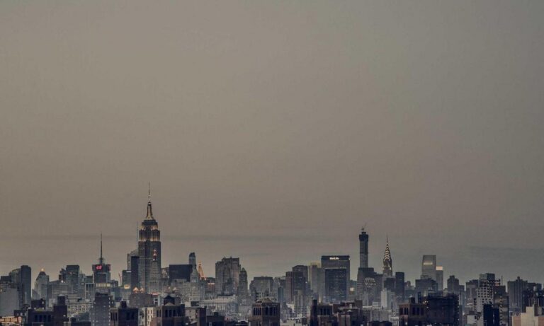 dibujos de haaland para colorear