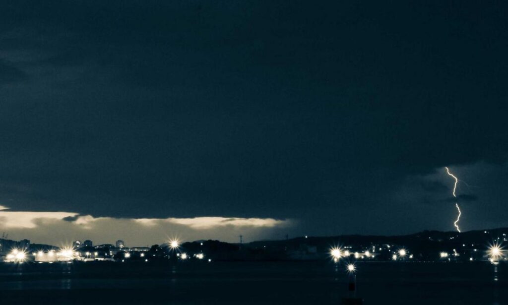 rosa:xy92wf3jnng= minnie