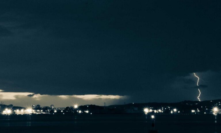 rosa:xy92wf3jnng= minnie