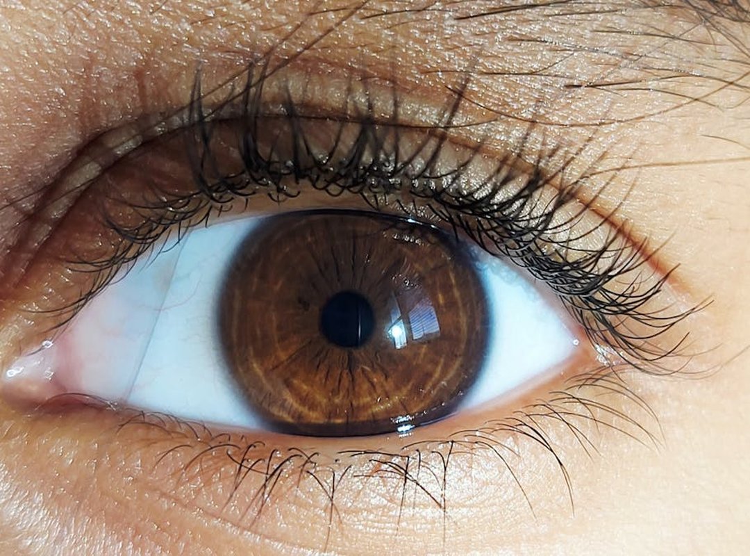 Where Can I Buy Qawermoni