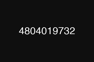 4804019732