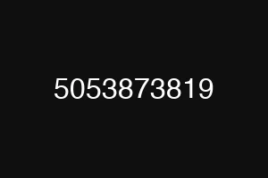 5053873819