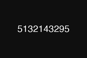 5132143295