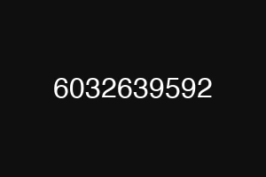 6032639592