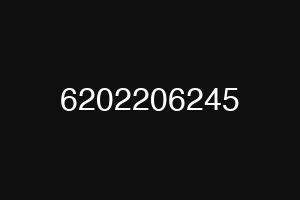 6202206245