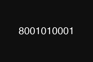 8001010001