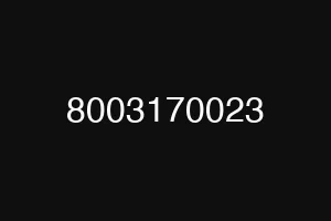 8003170023