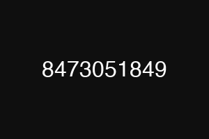 8473051849