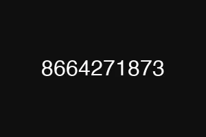 8664271873